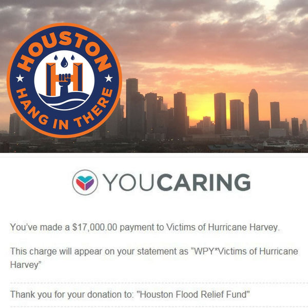 Hang in There Houston - T Shirts